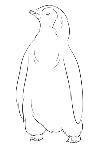 Baby Penguin Coloring Page